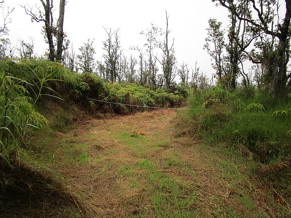 5th image of Omeka Rd Lot 54