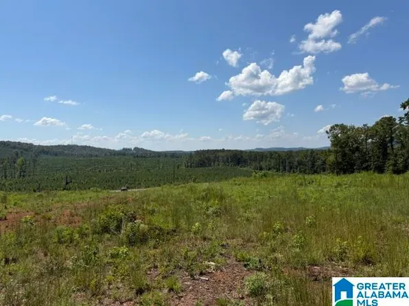 Grissom Ferry Rd #0, Vincent, AL 35178