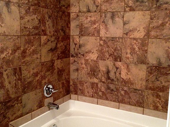 Master Whirlpool Tub/Shower