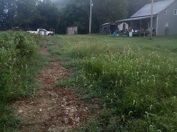 5th image of 1666 Pointer Creek Rd