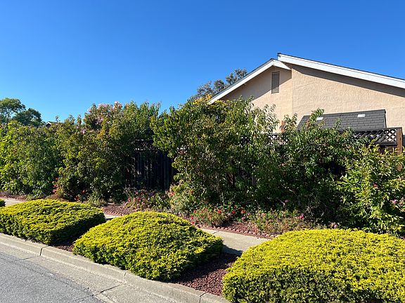 Side yard fruit trees