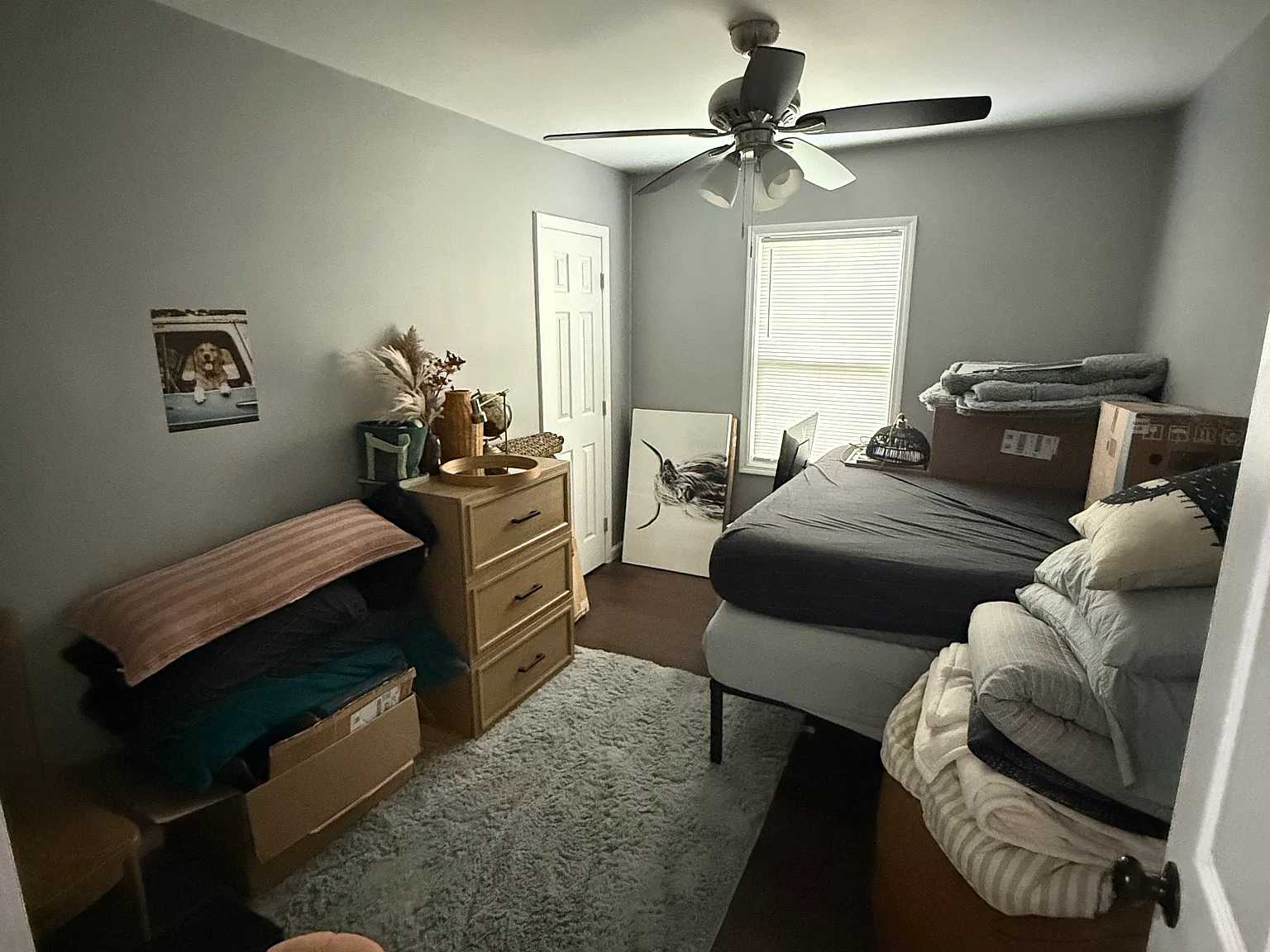 4 bed, 1700 sqft, $1,800 — Photo 4