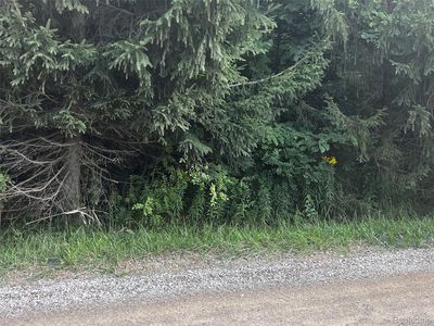 1 Jones Rd, North Branch, MI, 48461