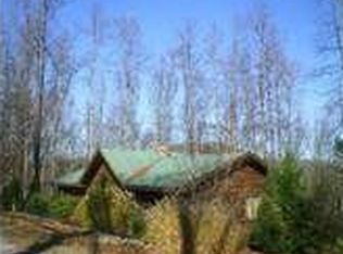 202 Observation Ln, Blue Ridge, GA 30513