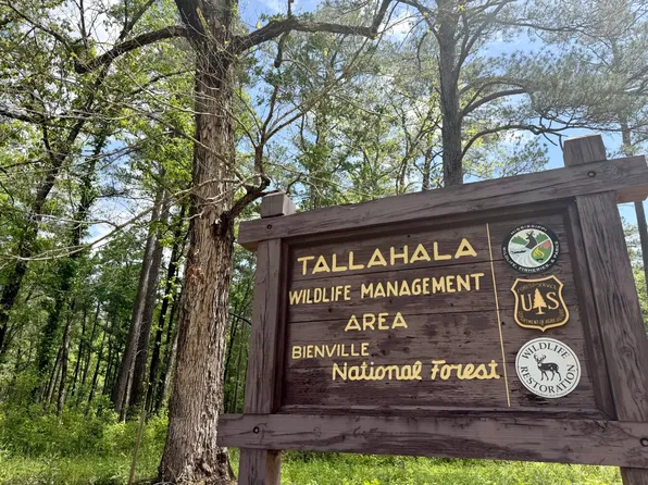 0 Sun Rd Tract 1, Lake, MS 39092