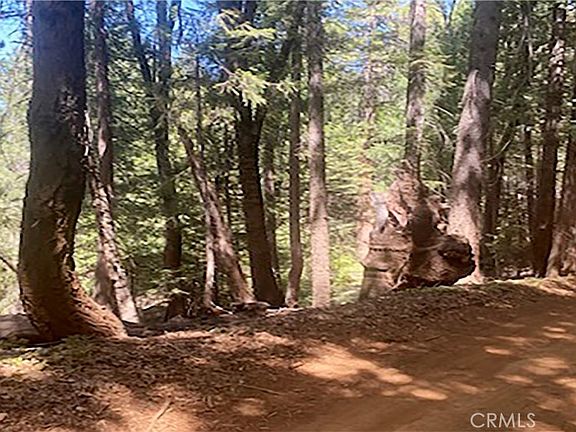 2nd image of 15052 Red Hill Spring Rd #140