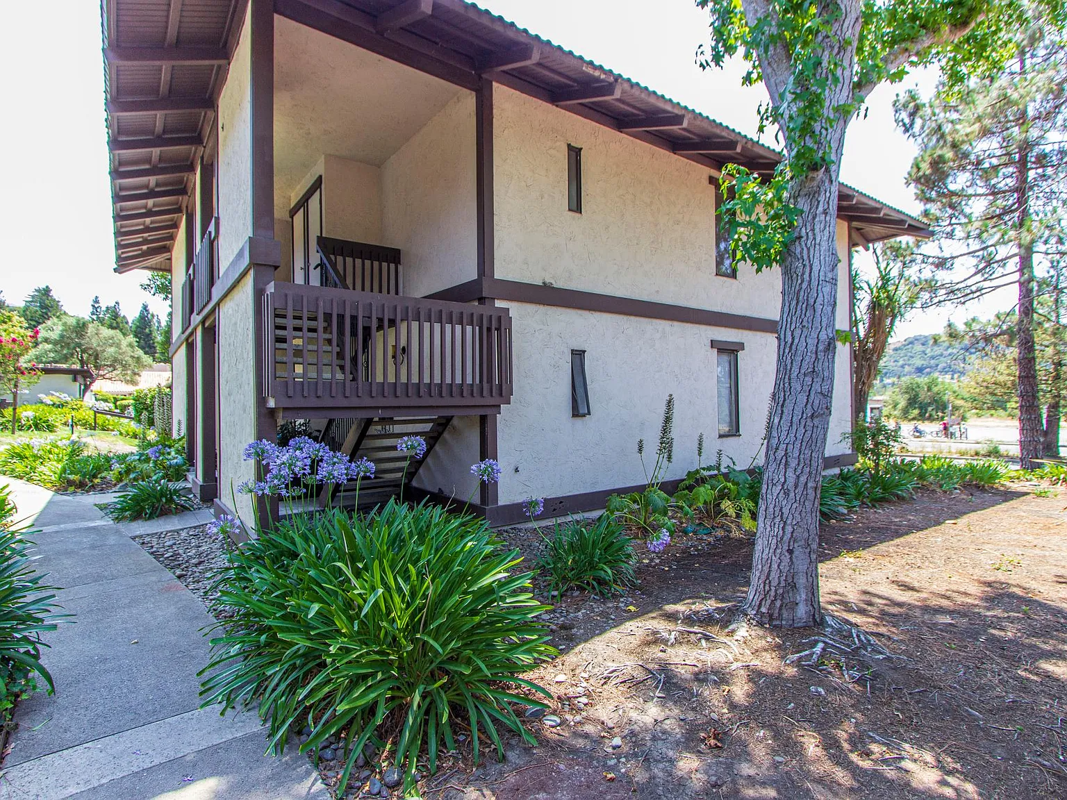 2 bed, 1281 sqft, $3,000 — Photo 2