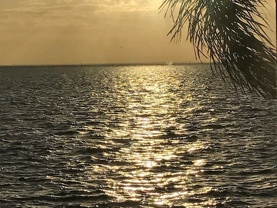 1st image of 4748 Coquina Key Dr SE