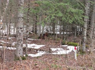 0 Black Forest Rd, Presque Isle, WI 54557