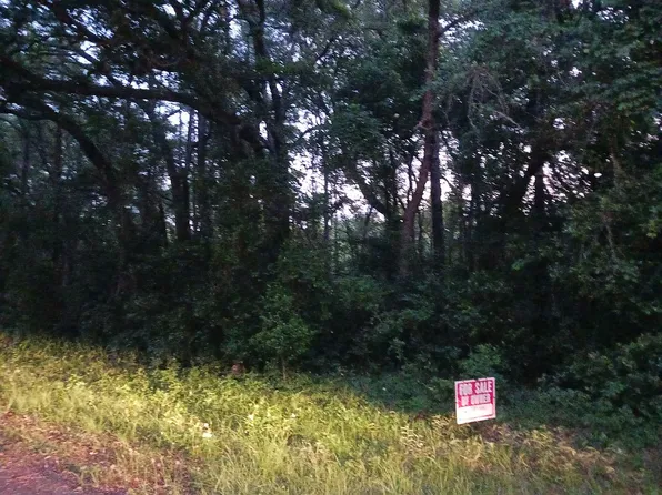 1377 W Alexander Dr, Citrus Springs, FL 34434