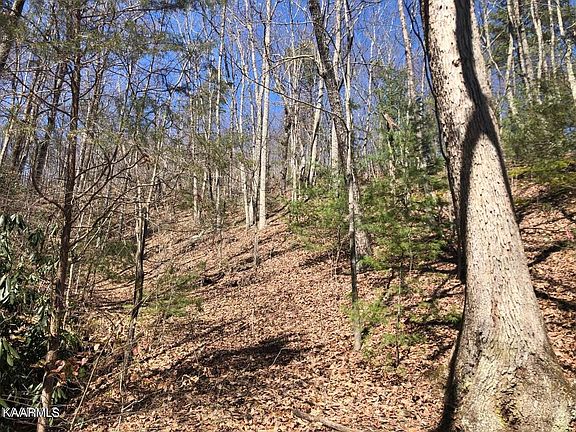 3rd image of LOT 18 Alpine Dr