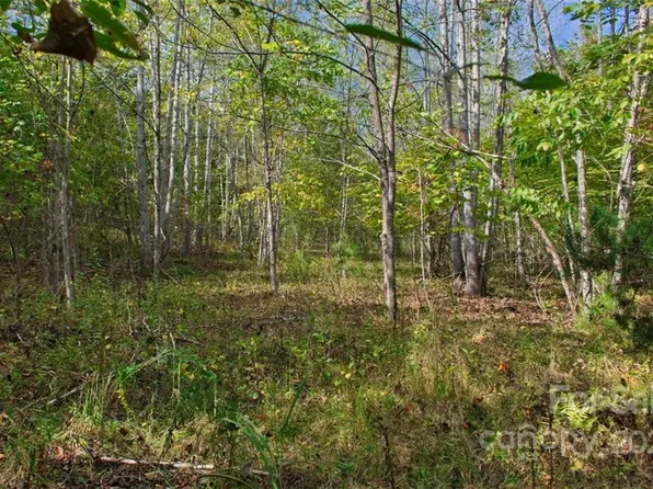 0 Chimney Creek Ln #194, Rutherfordton, NC 28139