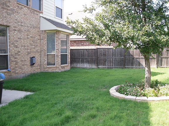 Backyard view