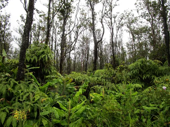 Kilnahe Rd Lot 17, Volcano, HI 96785