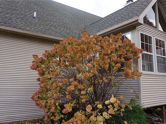 5th image of 3420 Stoney Creek Cir
