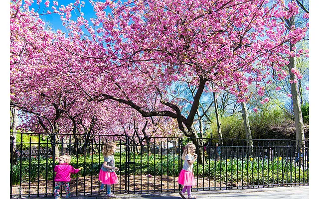 Sold by Douglas Elliman | media 33