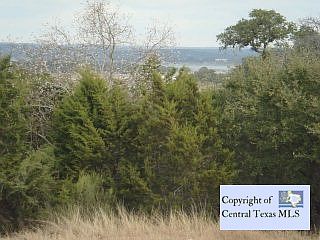 1st image of 1091 Erika Crst