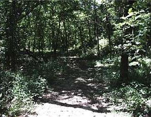 3rd image of 39 Rr 2