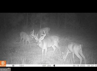 0 Hightower Ave, Damascus, GA 39841