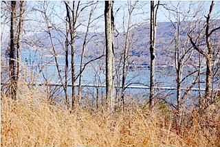 2nd image of Highway 156