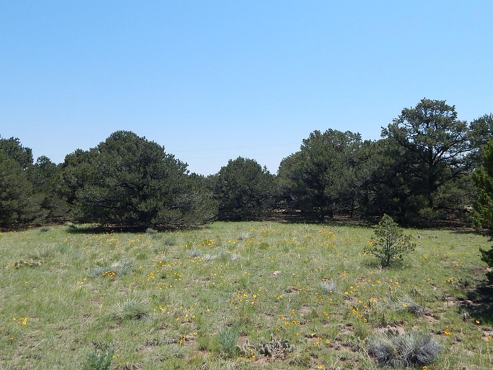 1st image of LOT 17 Block 2 Pinon Hills Estates 1 #1