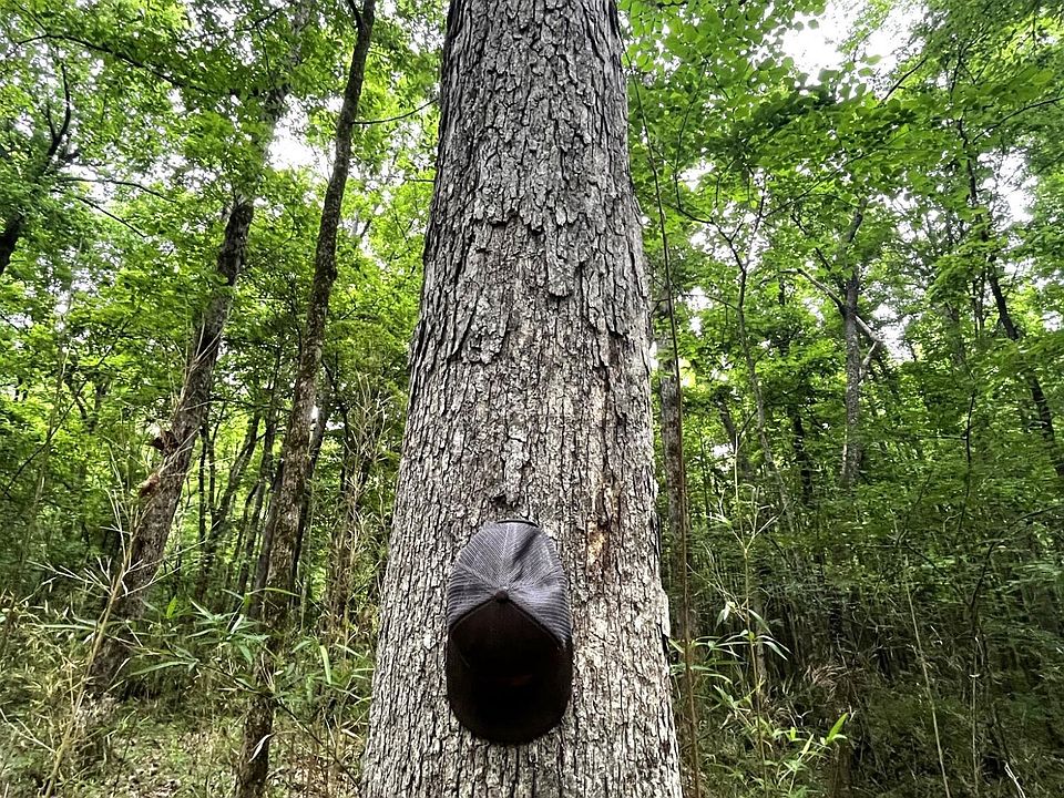 County Road 52, Vaiden, MS 39176 Zillow