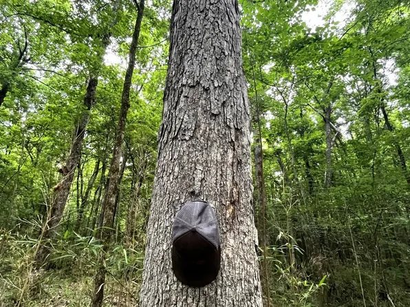 County Road 52, Vaiden, MS 39176