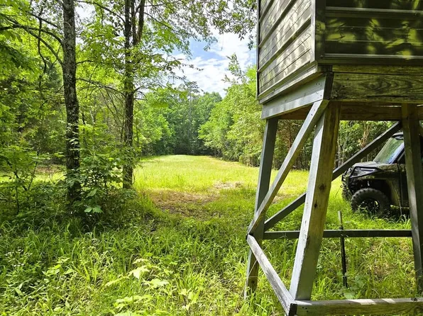 450 Howell Rd, Hornsby, TN 38044