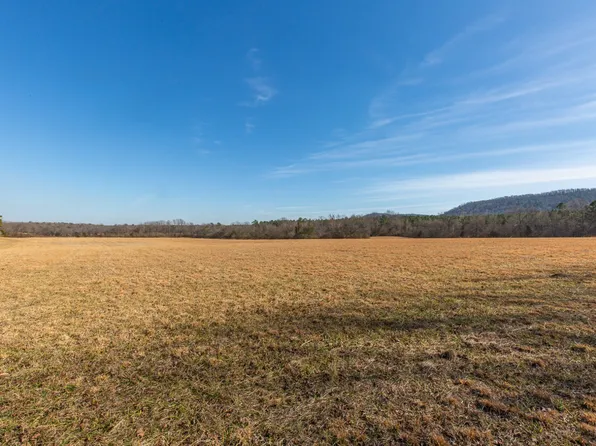 Polk Rd #626, Mena, AR 71953