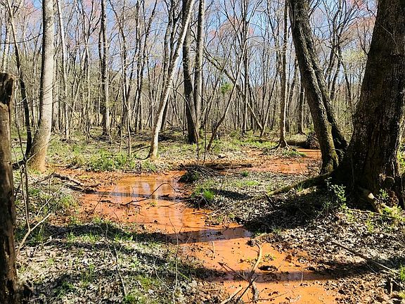 3rd image of 3524 Strickland Town Rd