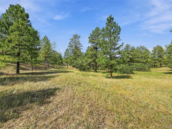 Kinnikinnik Drive LOT 1, Larkspur, CO 80118