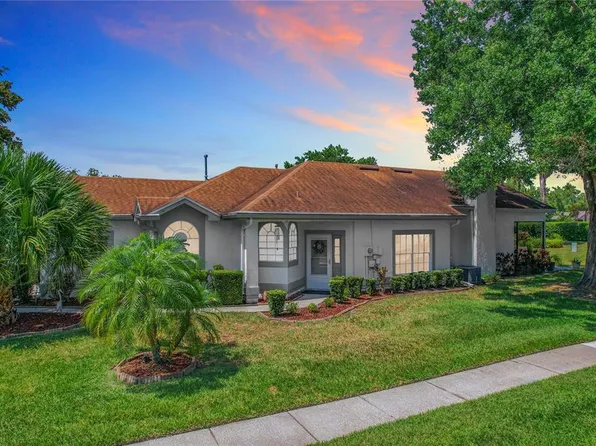 11629 Peachstone Ln, Orlando, FL 32821