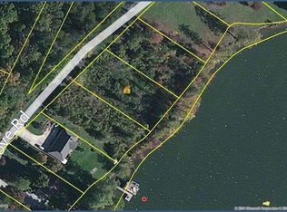 10 Toestring Cove Rd, Spring City, TN 37381