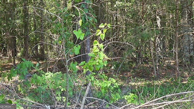 1st image of 0 Willow Lake Rd
