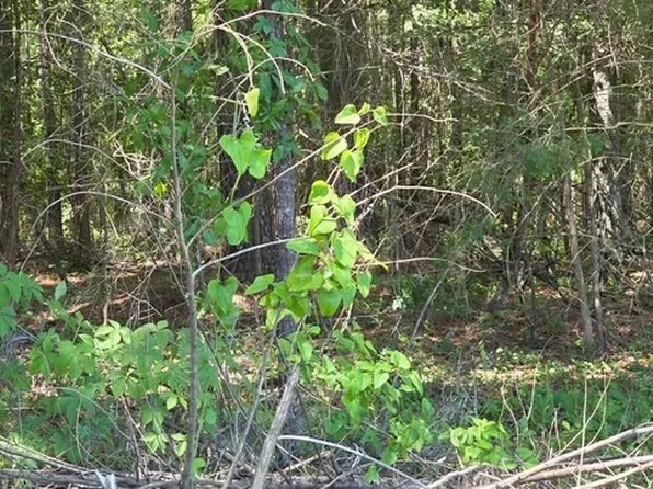0 Willow Lake Rd, Fort Valley, GA 31030
