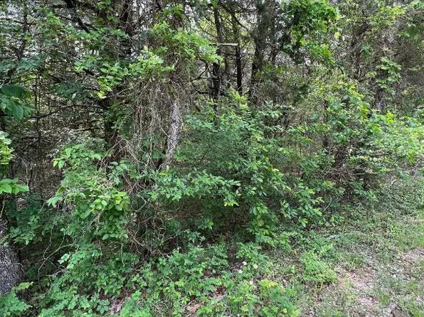 Valleyview Dr, Lead Hill, AR 72644