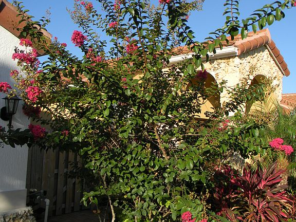 3rd image of 9930 NW 10th Ter