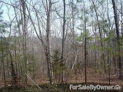 Beautiful wooded lot