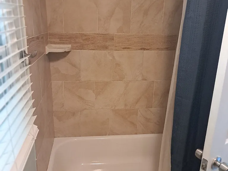 Master bathroom tub/shower
