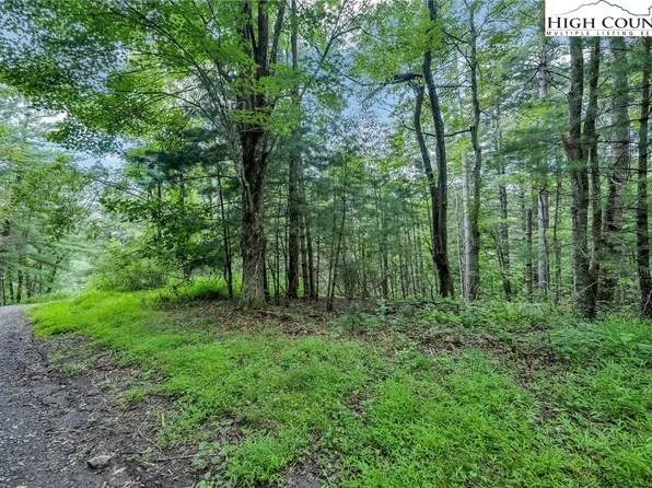 Lot 73 Buckland Road, Grassy Creek, NC 28631