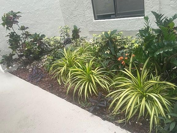 3rd image of 10155 Mangrove Drive #104