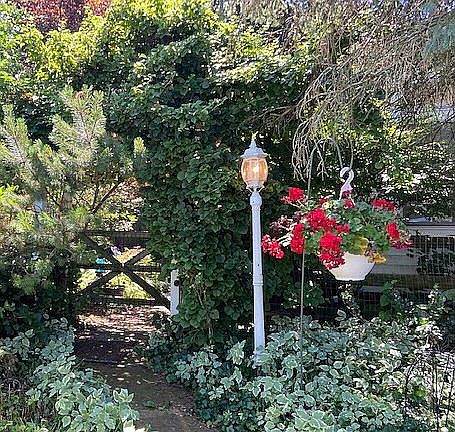 Backyard Entry