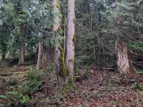 0 xxx West Road, Sedro Woolley, WA 98284
