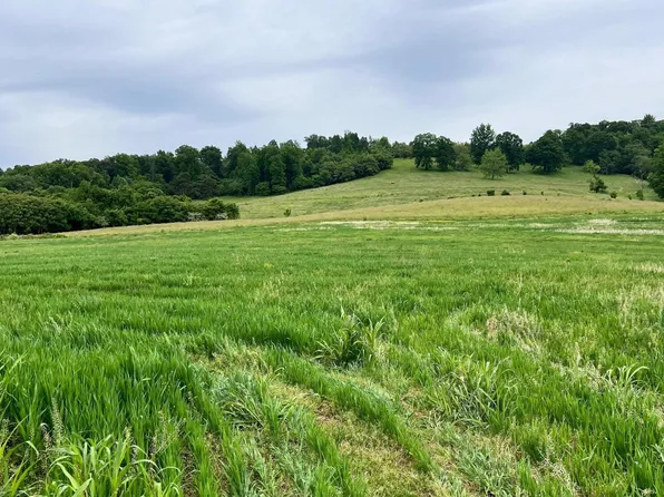 TRACT 12 Buffalo Springs Rd, Rutledge, TN 37861