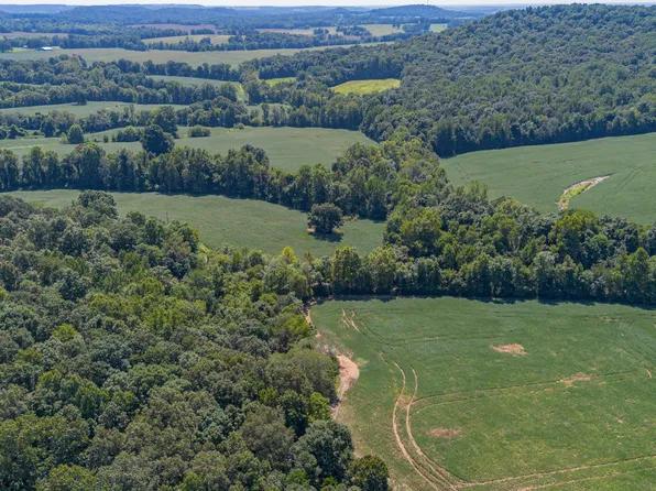0 Cecil Croft Rd, Salem, KY 42078