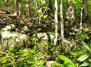 LOT 47 Buckeye Ln, Wilder, TN 38589