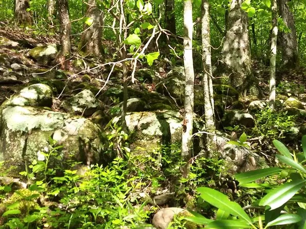 LOT 47 Buckeye Ln, Wilder, TN 38589