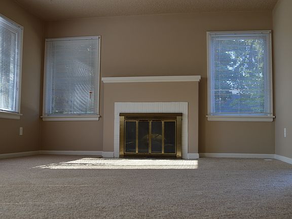 Beautiful working fireplace