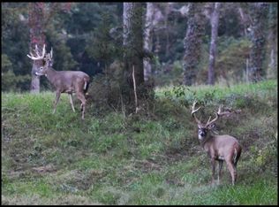 49161 County Road 659, Colcord, OK 74338