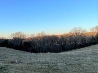 190 Emerald Pointe Dr, Hollister, MO 65672